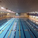 소사벌레포츠타운 평택실내수영장 | 평택시립실내수영장(소사벌레포츠타운) 수영장 50m 10레인