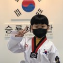 승룡태권도장 이미지