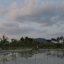 중앙공원 분수대옆 이미지