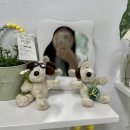 인천 부평 청리단길 꽃집 / 브라이덜샤워 생화 부케 솔직후기