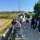 청통초교 이미지