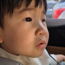 르네상스안과의원 이미지