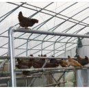 새자리농원 이미지