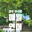 가볼 만한 제주 애월 유수암리 맛집 애월연어