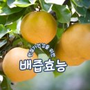 두리식품 - 아산시 | 두리식품