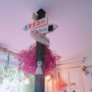 션샤인캣 이미지