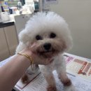 진버들공원 이미지