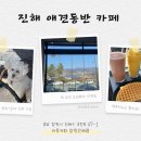아토커피창원 - 41533 | 진해 군항제 2026 애견동반 가능한카페 찾는다면 아토커피