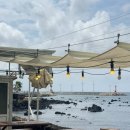 돈해상제주한림협재흑돼지 | [제주 한림 흑돼지맛집_ 돈해상 제주한림협재흑돼지] A세트 후기