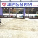 새론동물병원 이미지