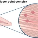 참손길지압안마원 이미지