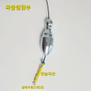 박꾼