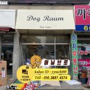 도그라움 이미지