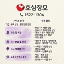 효심장묘 - 금산군 은행나무길 45 | 효심장묘