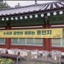 온평리-7 이미지