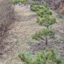 경북반려동물장례식장 이미지