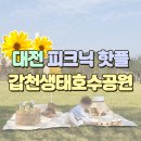 호수공원 | 대전 갑천 생태 호수공원 피크닉 후기, 텐트 사용 꿀팁까지!