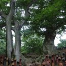 해남공원 앞 이미지