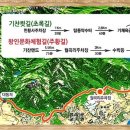 월출약국 이미지