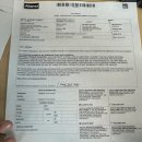 대덕종합카써비스 | 캐나다 밴쿠버 캘거리 렌트카 여행 후기 주차 주유 보험 팁