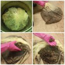 참좋은건강원 이미지