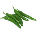 준초이짐 이미지