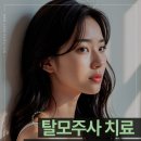 아르케의원 이미지