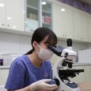 씨밀레동물병원 이미지