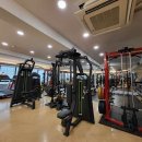 피티나인 이미지