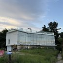 지금 아야진 | 속초 고성 아야진해수욕장 오션 뷰 대형 카페 추천 스위밍터틀