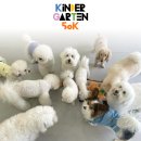 아카데미유치원 이미지