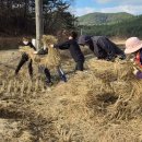 충청남도 태안군청 이미지