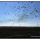 서해여인숙 이미지