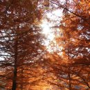 대가야컨트리클럽 이미지