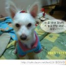 돈이조아 이미지