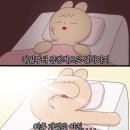 김'쓰