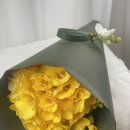 휘테라피