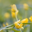 오렌지나무 작은도서관 이미지