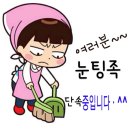 대연테라토피아 - 부평구 십정동 | 대연테라토피아