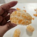 태현농장 이미지