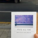 지혜문고 | 영풍문고 미니미니북 추천 '세상을 보는 지혜' 내돈내산 후기