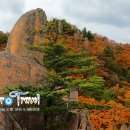남산 이미지