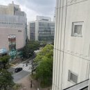 그랜드호텔건너 버스정류장 이미지