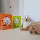 형덴탈 | 동아제약 벳플브이츄덴탈껌 강아지덴탈껌 강아지간식추천템