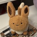 도망 | 포켓몬 온라인 스토어ㅣ도망치는 이브이 실물 후기