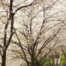 청민 행정사사무소 이미지