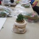 2-3 원예 치료전문가 과정 이미지