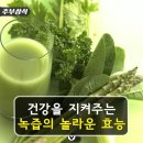 녹즙