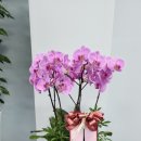 번영모터스 이미지