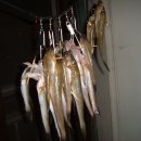 갤러리천수만 이미지